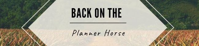 Back on the Planner Horse - No Gluten Full Plate